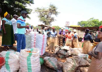 WAFANYABIASHARA SOKO LA SADALA WAMPONGEZA MAFUWE