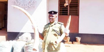 POLISI WANASA MENO YA TEMBO, VIROBA VYA BANGI