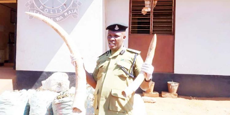 POLISI WANASA MENO YA TEMBO, VIROBA VYA BANGI