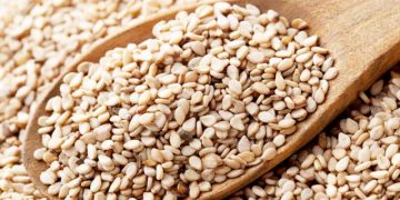 WAKULIMA TANDAHIMBA, NEWALA  WAPEWA FAIDA YA KULINDA UFUTA