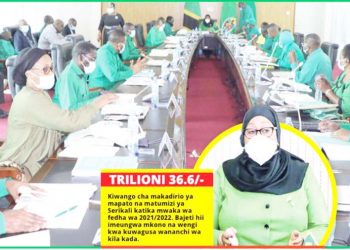 UBORA BAJETI KUU YA SERIKALI WAIGUSA KAMATI KUU CCM