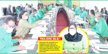 UBORA BAJETI KUU YA SERIKALI WAIGUSA KAMATI KUU CCM