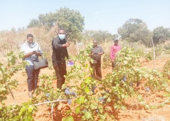 VIONGOZI TASAF WALIDHISHWA NA UTEKELEZAJI MIRADI KWA WALENGWA