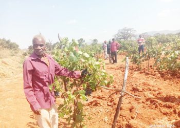 TASAF YAENDELEA KUWAWEZESHA WANANCHI