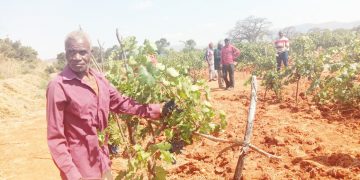 TASAF YAENDELEA KUWAWEZESHA WANANCHI