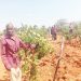 TASAF YAENDELEA KUWAWEZESHA WANANCHI