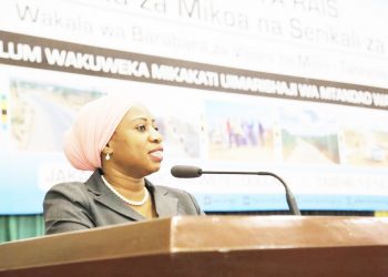 WAZIRI UMMY AZINDUA MPANGO MKAKATI WA PILI MIAKA MITANO WA TARURA 