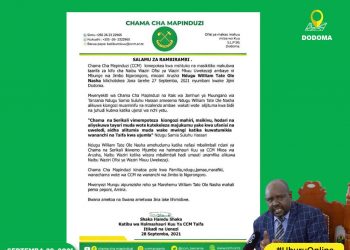 CCM YAMLILIA OLE NASHA