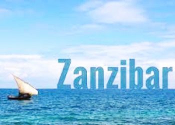 SMZ YAJIPANGA KUFANIKISHA DHANA YA UCHUMI WA BULUU