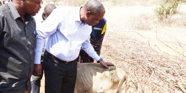 WALIOSABABISHA MADHARA YA CHANJO KWA MIFUGO WASAKWA