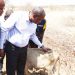 WALIOSABABISHA MADHARA YA CHANJO KWA MIFUGO WASAKWA