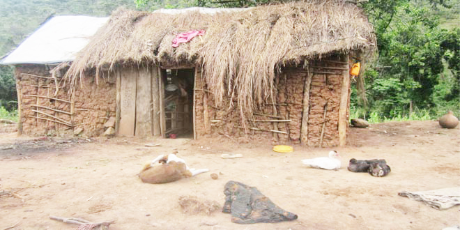 ZAIDI KAYA 40,000 MASIKINI KUFIKIWA FEDHA ZA IMF