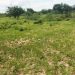 WANANCHI WAIOMBA SERIKALI KUINGILIA KATI MGOGORO WA ARDHI SERENGETI