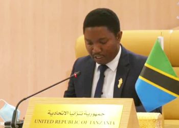 WAZIRI JAFO: TANZANIA IMEJIDHATITI KATIKA KUJENGA UCHUMI WA KIJANI