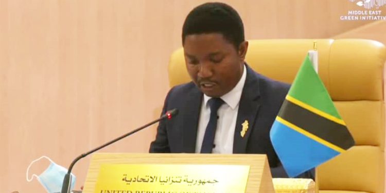 WAZIRI JAFO: TANZANIA IMEJIDHATITI KATIKA KUJENGA UCHUMI WA KIJANI