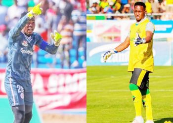 UBORA WA MANULA, DIARA WAWAIBUA WAKONGWE