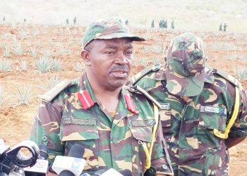 JKT YATEKELEZA AGIZO LA SERIKALI KULIMA MAZAO YA KIBIASHARA
