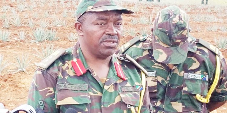 JKT YATEKELEZA AGIZO LA SERIKALI KULIMA MAZAO YA KIBIASHARA