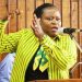 SERIKALI YA CCM HAITOFUTA ELIMU BILA MALIPO – MNDEME