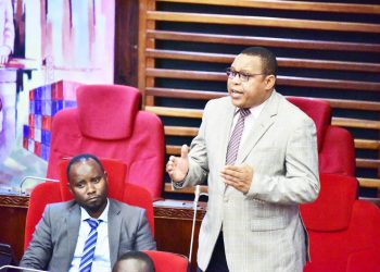 MBUNGE AMBATIZA JINA WAZIRI MKUU MAJALIWA