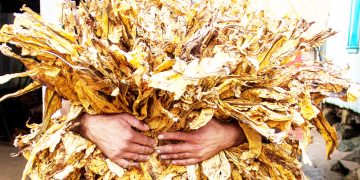 MATUMIZI BIDHAA ZITOKANAZO NA TUMBAKU CHANZO CHA VIFO