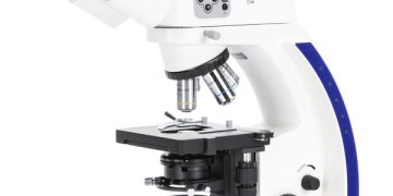 MTUMISHI KUPOTEZA AJIRA TUHUMA ZA WIZI DARUBINI