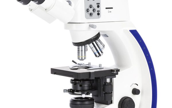 MTUMISHI KUPOTEZA AJIRA TUHUMA ZA WIZI DARUBINI