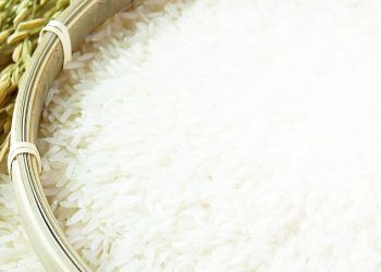 TANZANIA INA ZIADA YA TANI MILIONI 2.1 ZA MCHELE