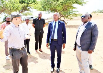 MKANDARASI WA UJENZI WA KULINDA KINGO YA BAHARI ,LANDSCAPING NA GARDEN YA KISASA COCO BEACH AMEPATIKANA