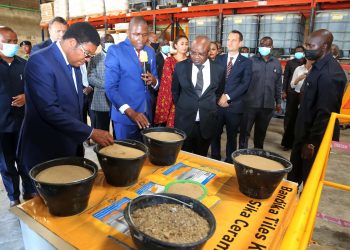 PM ATAKA WENYE ULEMAVU WAPEWE FURSA VIWANDANI
