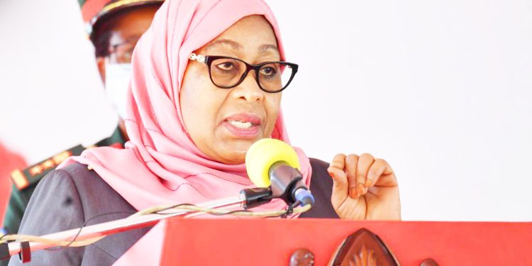 MIAKA 60 YA UHURU | RAIS SAMIA ALIVYOONYESHA MAAJABU KATIKA UWEKEZAJI