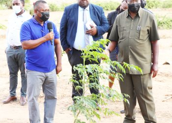 MPANGO AIAGIZA TFS KULINDA BUSTANI ZA MITI  JIJINI DODOMA