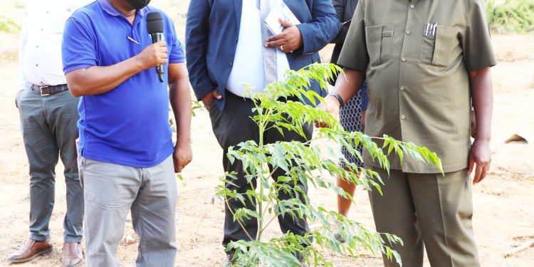 MPANGO AIAGIZA TFS KULINDA BUSTANI ZA MITI  JIJINI DODOMA