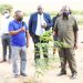 MPANGO AIAGIZA TFS KULINDA BUSTANI ZA MITI JIJINI DODOMA