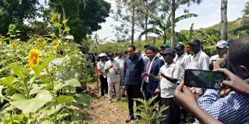 JAFO AWATAKA WAKAZI WA MKOA WA MARA KUJIKITA KATIKA ZAO LA ALIZETI