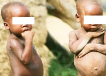 MILA, DESTURI POTOFU CHANZO CHA UTAPIAMLO NA UDUMAVU