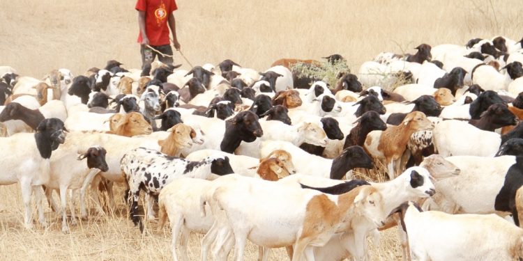 NARCO YATANGAZA PUNGUZO YA 30%