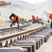 UJENZI WA SGR TANZANIA HADI BURUNDI WANUKIA
