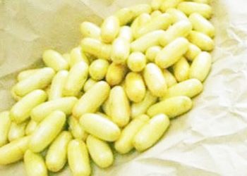WANAWAKE ‘WADAKWA’ TUHUMA KUSAFIRISHA DAWA ZA KULEVYA