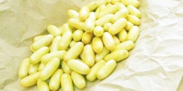 WANAWAKE ‘WADAKWA’ TUHUMA KUSAFIRISHA DAWA ZA KULEVYA