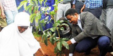 DK. JAFO AHIMIZA WANANCHI KUPANDA MITI