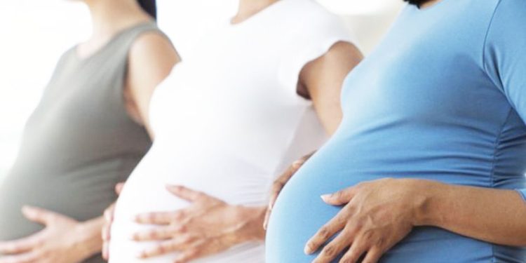 DAWA ZA MITI SHAMBA CHANZO VIFO WAJAWAZITO, VICHANGA