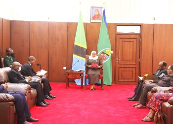 MWELEKEO MPYA MIKUTANO YA SIASA