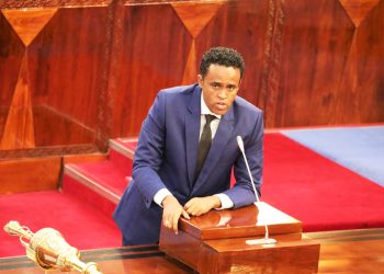 MAFANIKIO 10 SEKTA YA KILIMO