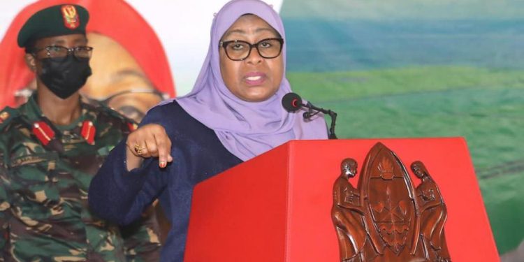 WAZIRI JENISTA ASEMA RAIS SAMIA ANATAKA USAWA NGAZI YA UAMUZI