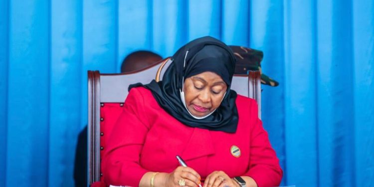 MIAKA 30 YA VYAMA VINGI: CHANGAMOTO NA MUSTAKABALI KUSONGA MBELE