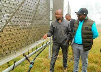 UKUNGU KUZALISHA MAJI SAFI NA SALAMA MBULU