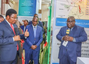 PM MAJALIWA AIAGIZA PURA KUHARAKISHA ZOEZI LA KUNADI VITALU  VYA MAFUTA, GESI ASILIA