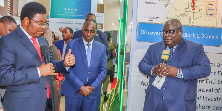 PM MAJALIWA AIAGIZA PURA KUHARAKISHA ZOEZI LA KUNADI VITALU  VYA MAFUTA, GESI ASILIA