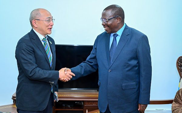 DKT.MPANGO AKUTANA NA KUFANYA MAZUNGUMZO NA BALOZI WA JAPANI NCHINI